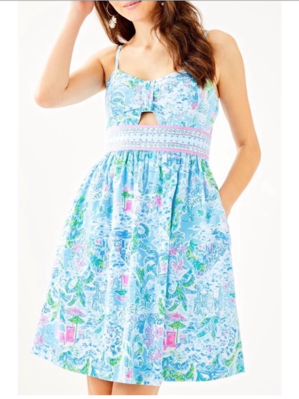 Lilly Pulitzer Kaitlyn Dress in the "What A Lovely Place" NWOT $195 Retail